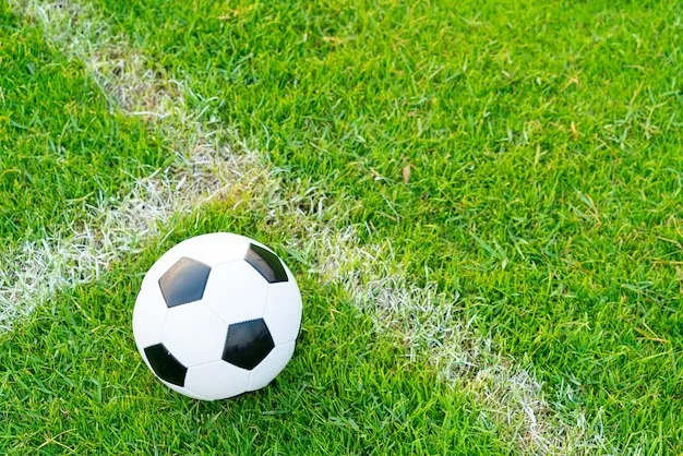 爱体育体育 体育盛况